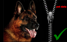 petdata3