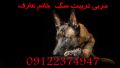 مربي تربيت سگ پليس  خانم عارف 09122374947