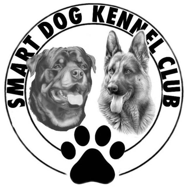 فروش انواع سگ در اسمارت داگ تمامي نژادها