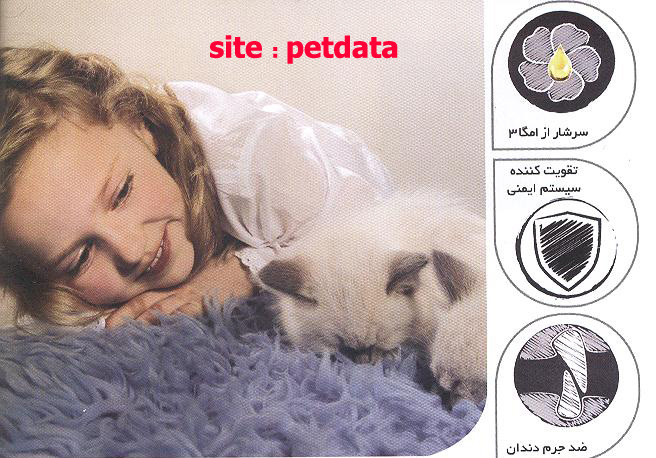 ØºØ°Ø§ÛŒ Ú©ÛŒØªÛŒÙ† Ù…Ø®ØµÙˆØµ Ø¨Ú†Ù‡ Ú¯Ø±Ø¨Ù‡