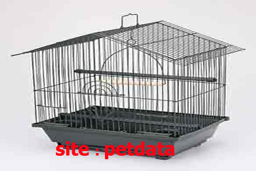 Ø§Ù†Ø¯Ø§Ø²Ù‡ Ù‚ÙØ³  Ù¾Ø±Ù†Ø¯Ú¯Ø§Ù†