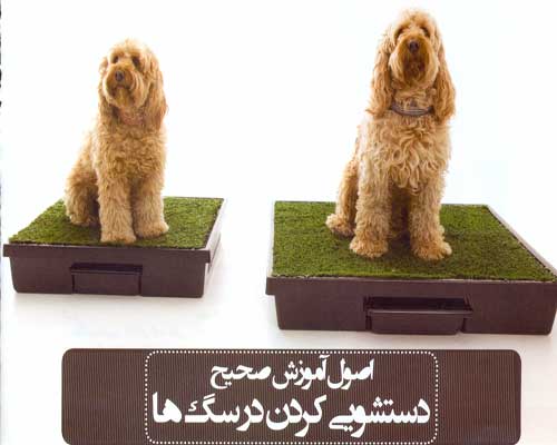 ÙØ±ÙˆØ´ ØªÙˆØ§Ù„Øª Ø³Ú¯