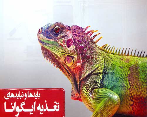 ÙØ±ÙˆØ´ ØºØ°Ø§ÛŒ Ø§ÛŒÚ¯ÙˆØ§Ù†Ø§