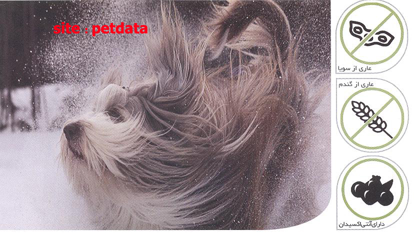ØºØ°Ø§ÛŒ Ø³Ú¯ Ø¨Ø§ Ø·Ø¹Ù… Ú¯ÙˆØ´Øª Ø¨Ø±Ù‡ Ùˆ Ø¨Ø±Ù†Ø¬