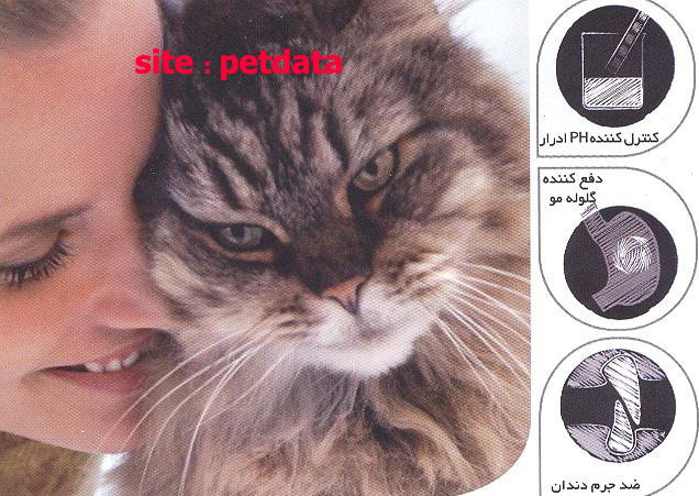 ØºØ°Ø§ÛŒ Ú¯Ø±Ø¨Ù‡ Ø§Ø¯Ø§Ù„Øª Ù…Ø§Ú©Ø³ÛŒ Ú©Ø±ÙˆÚ©