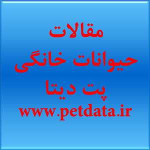 Ù…Ù‚Ø§Ù„Ù‡ Ø­ÛŒÙˆØ§Ù†Ø§Øª