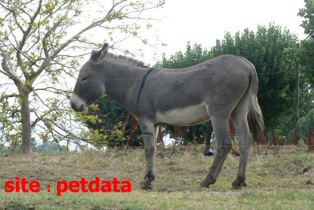 ØªØ¹Ø¨ÛŒØ± Ø®ÙˆØ§Ø¨ Ø®Ø±