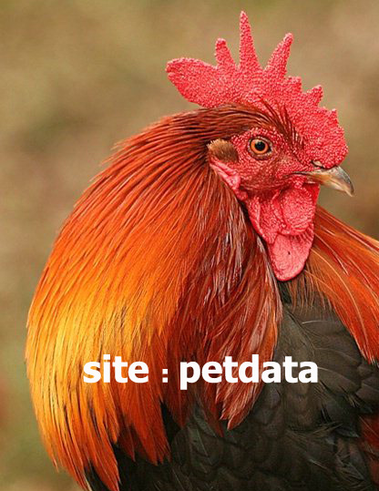 ØªØ¹Ø¨ÛŒØ± Ø®ÙˆØ§Ø¨ Ø®Ø±ÙˆØ³