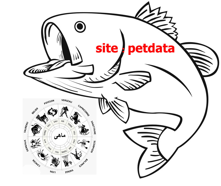 ØªØ¹Ø¨ÛŒØ± Ø®ÙˆØ§Ø¨ Ø­ÛŒÙˆØ§Ù†Ø§Øª