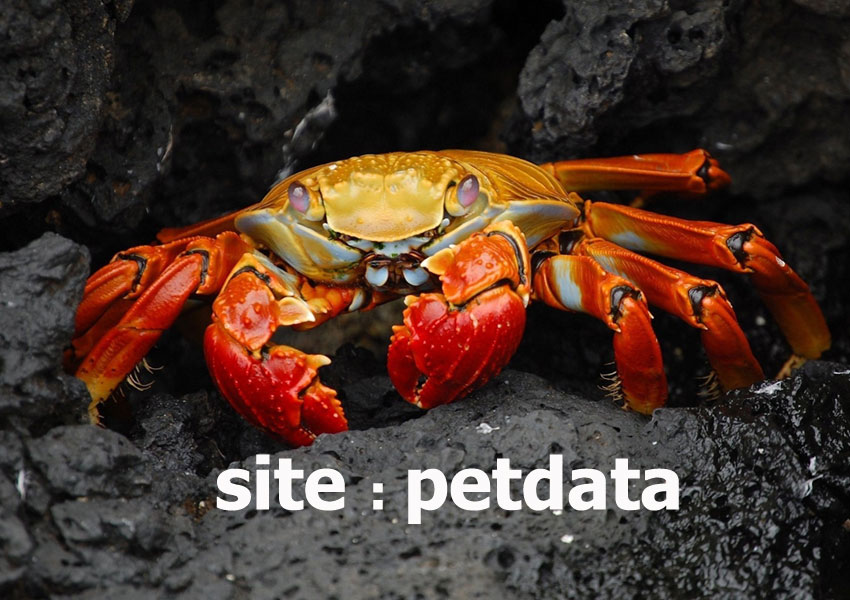 تعبیر خواب خرچنگ