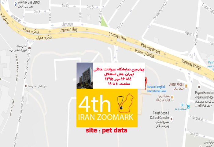 Ù†Ù…Ø§ÛŒØ´Ú¯Ø§Ù‡ Ø­ÛŒÙˆØ§Ù†Ø§Øª Ø®Ø§Ù†Ú¯ÛŒ Ù‡ØªÙ„ Ø§Ø³ØªÙ‚Ù„Ø§Ù„
