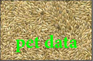 ÙØ±ÙˆØ´ Ø¯Ø§Ù† Ù¾Ø±Ù†Ø¯Ù‡