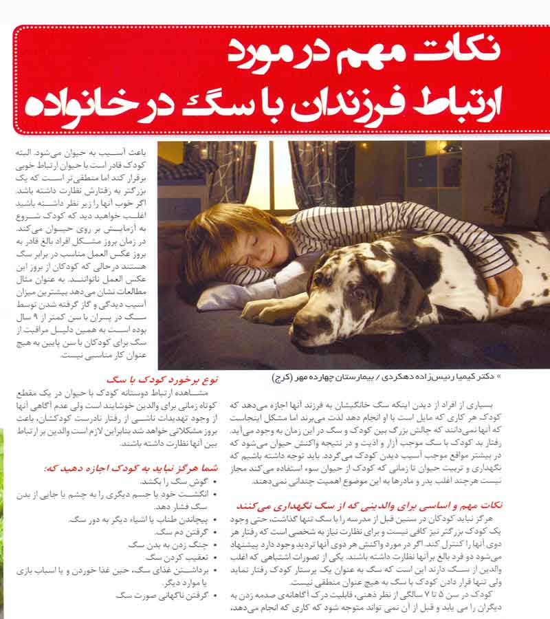 نگهداری سگ 