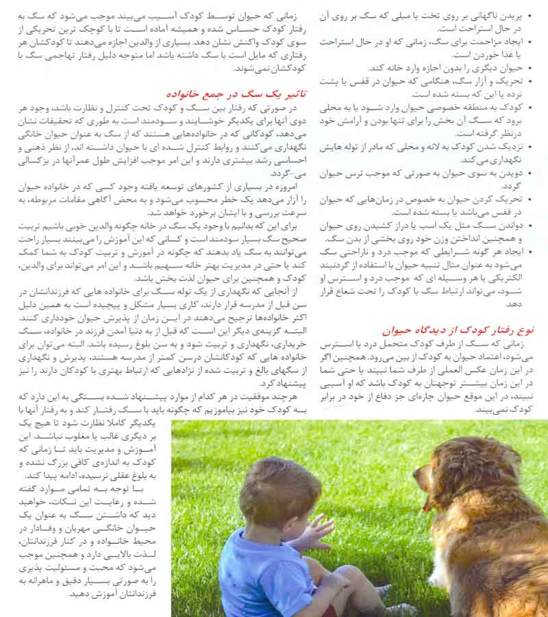  نکات ایمنی سگ 